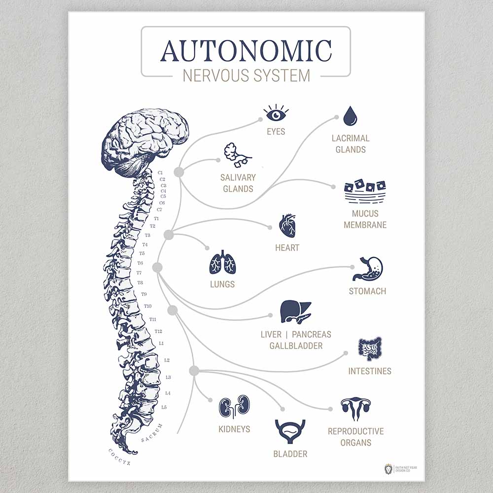 ideal-autonomic-poster